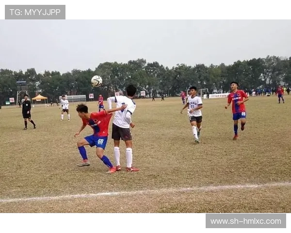 深圳羽毛球队边路渗透战术创新探索与实践分析