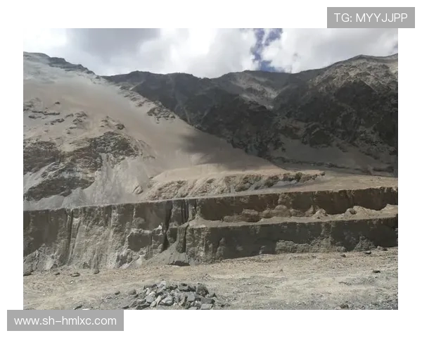 深度对话：陈娜在CSGO世界中的成长与挑战之路