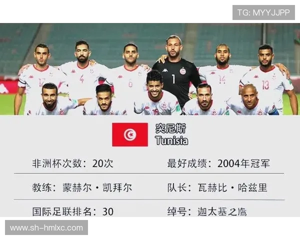 中国与突尼斯足球赛精彩直播录像回顾及赛后分析全记录